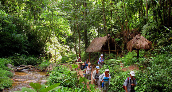 turistas-caminando-por-el-sendero-a-la-caminata-tirol
