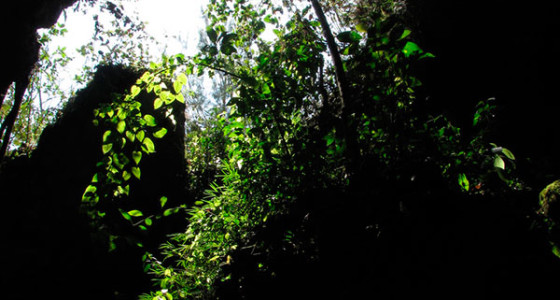 vista-desde-el-interior-de-cueva-tunqui-en-oxapampa