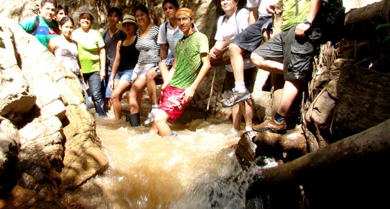 descansando-en-los-troncos-del-riachuelo-selva-central