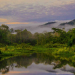 descubre-la-reserva-nacional-del-manu-flickr-agallop1-out