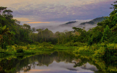 descubre-la-reserva-nacional-del-manu-flickr-agallop1-out