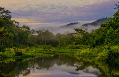 descubre-la-reserva-nacional-del-manu-flickr-agallop1-out
