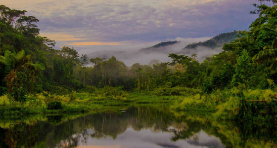 descubre-la-reserva-nacional-del-manu-flickr-agallop1-out