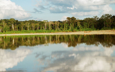 tour-en-el-parque-nacional-del-manu-2-flickr-dgygax-out