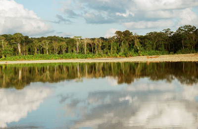 tour-en-el-parque-nacional-del-manu-2-flickr-dgygax-out