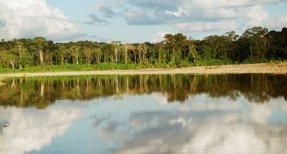 tour-en-el-parque-nacional-del-manu-2-flickr-dgygax-out